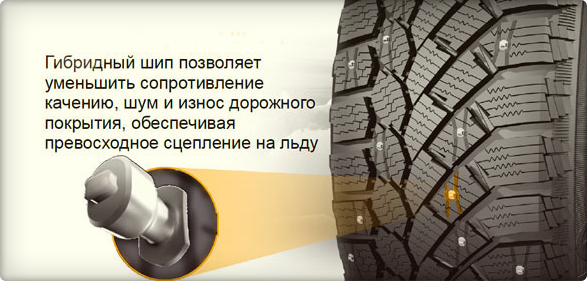 Новые «шипы-гибриды» Новые «шипы-гибриды»