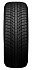 Шина Nexen Winguard Ice Plus 225/50 R17 98T XL