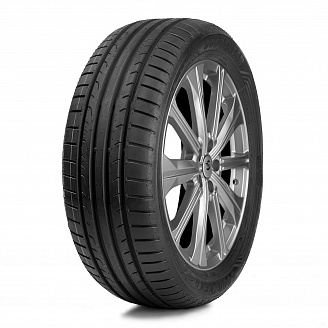 Шина GoodYear Eagle Sport 2 195/55 R16 91V XL