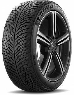 Шина Michelin Pilot Alpin 5 315/30 R21 105V XL (2021 г.в.)